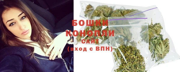 прущий лед Вяземский