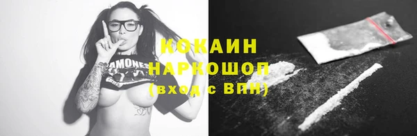 прущий лед Вяземский