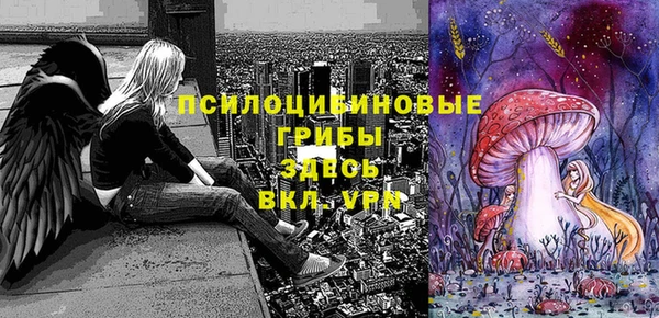 прущий лед Вяземский