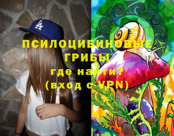 прущий лед Вяземский