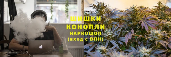 PSILOCYBIN Тында