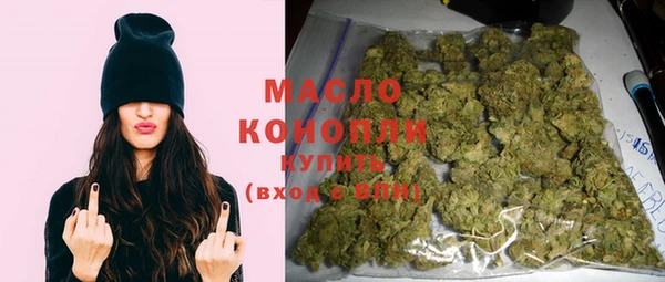 прущий лед Вяземский