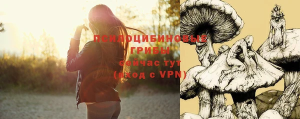 прущий лед Вяземский