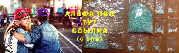 прущие грибы Карпинск