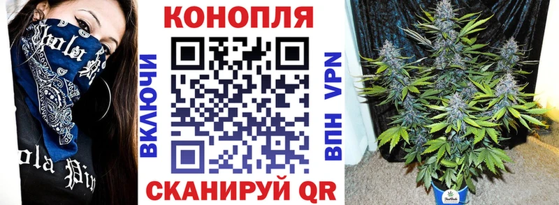 Конопля VHQ  сколько стоит  Оха 